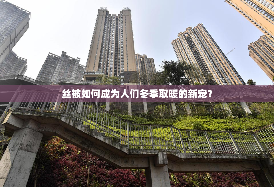 丝被如何成为人们冬季取暖的新宠？
