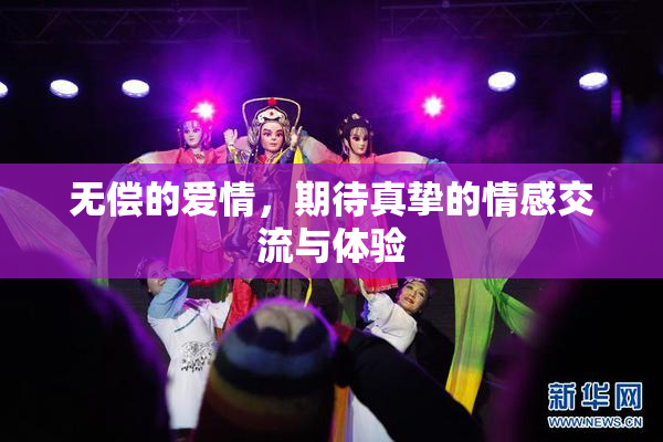 无偿的爱情，期待真挚的情感交流与体验