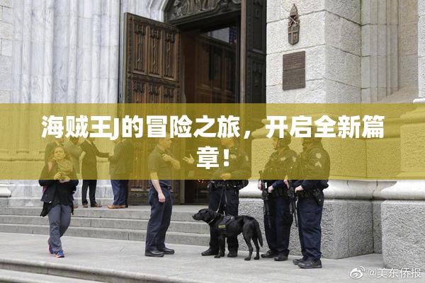 海贼王J的冒险之旅，开启全新篇章！