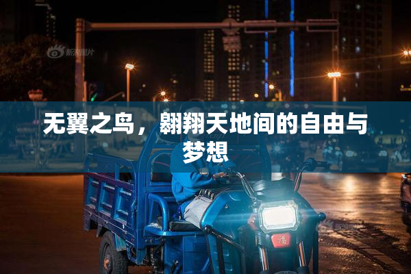 无翼之鸟，翱翔天地间的自由与梦想