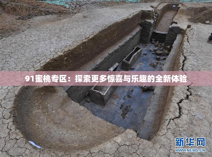 91蜜桃专区：探索更多惊喜与乐趣的全新体验