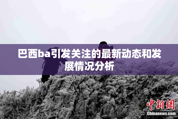 巴西ba引发关注的最新动态和发展情况分析