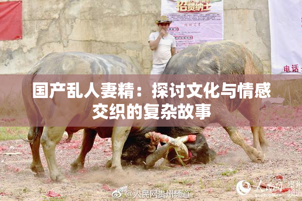国产乱人妻精：探讨文化与情感交织的复杂故事