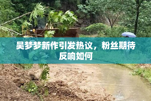 吴梦梦新作引发热议，粉丝期待反响如何