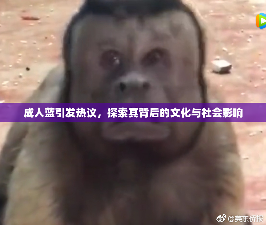 成人蓝引发热议，探索其背后的文化与社会影响