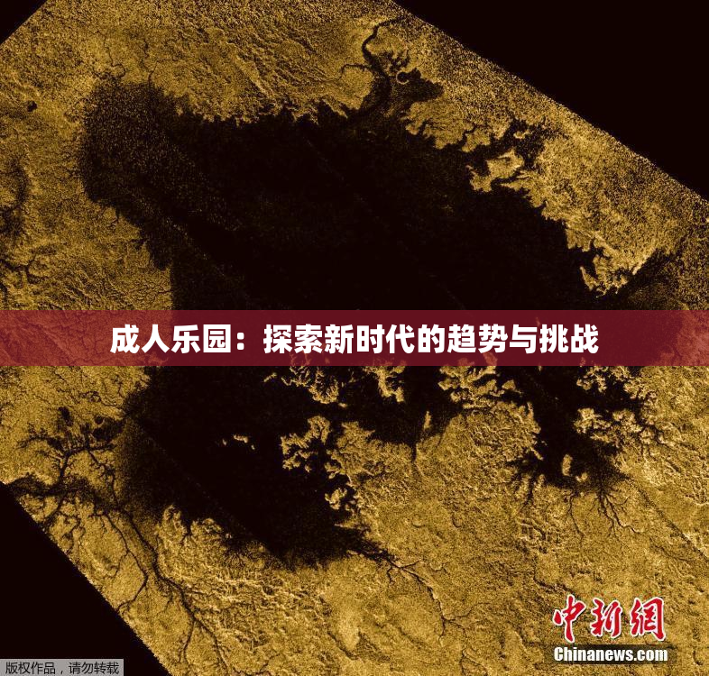 成人乐园：探索新时代的趋势与挑战