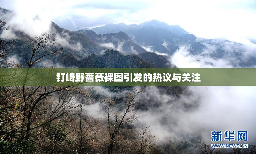 钉崎野蔷薇裸图引发的热议与关注