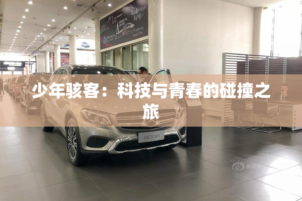 少年骇客：科技与青春的碰撞之旅
