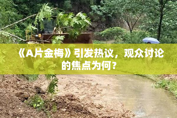 《A片金梅》引发热议，观众讨论的焦点为何？