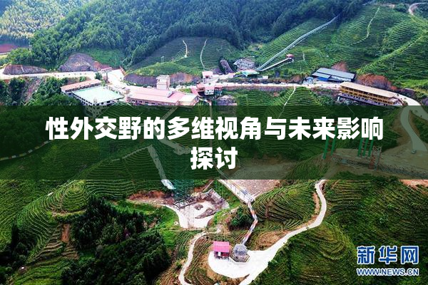 性外交野的多维视角与未来影响探讨