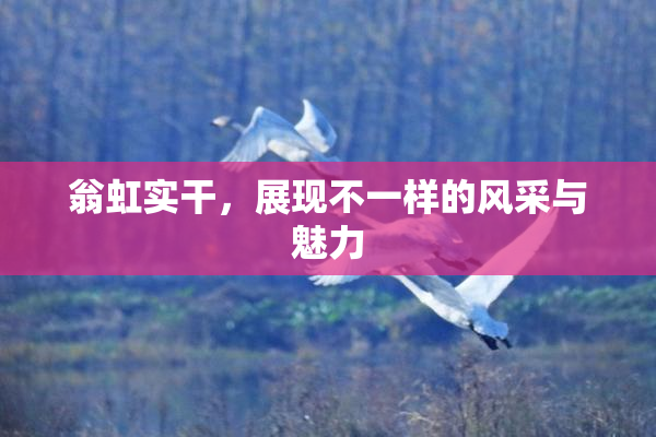 翁虹实干，展现不一样的风采与魅力