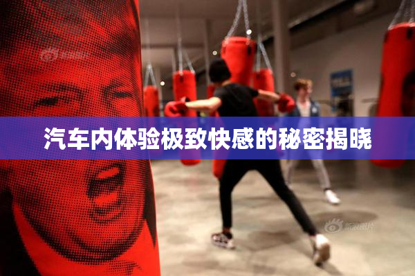 汽车内体验极致快感的秘密揭晓