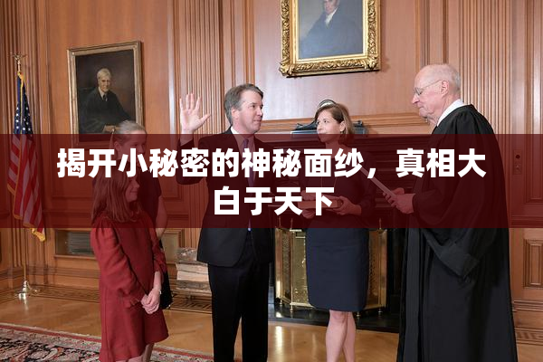 揭开小秘密的神秘面纱，真相大白于天下