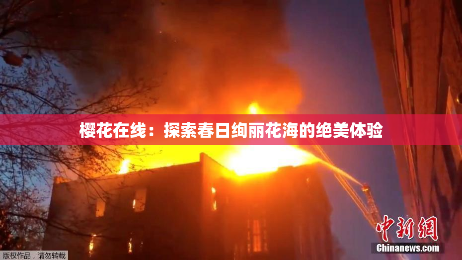 樱花在线：探索春日绚丽花海的绝美体验