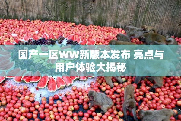 国产一区WW新版本发布 亮点与用户体验大揭秘