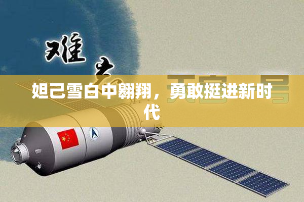 妲己雪白中翱翔，勇敢挺进新时代