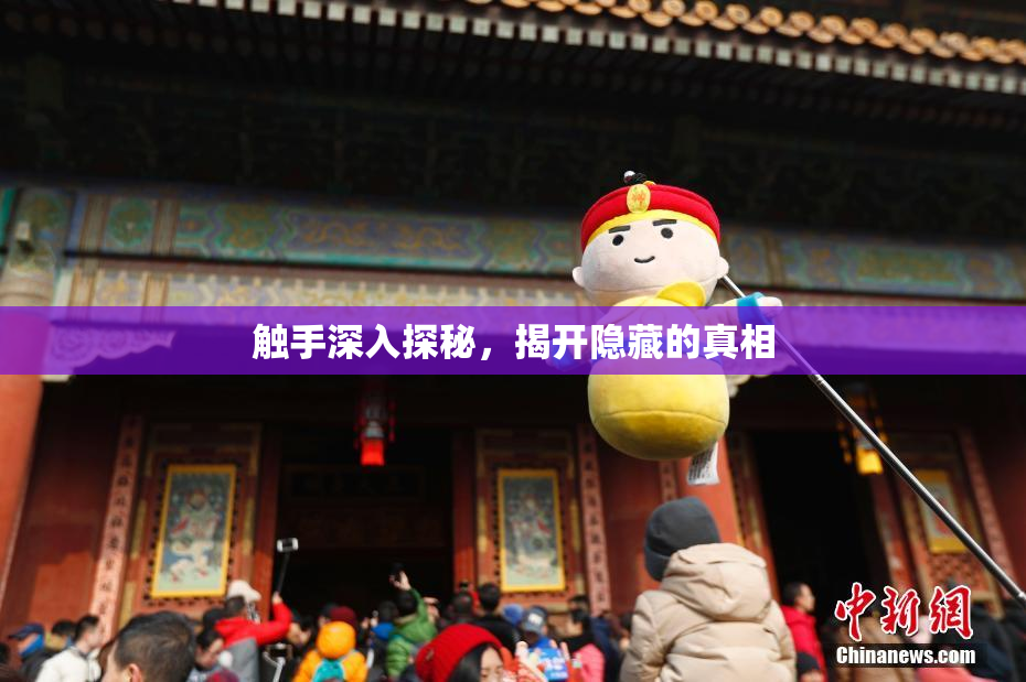 触手深入探秘，揭开隐藏的真相