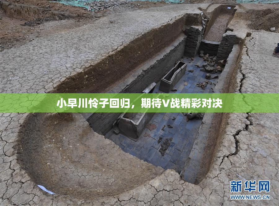 小早川怜子回归，期待V战精彩对决