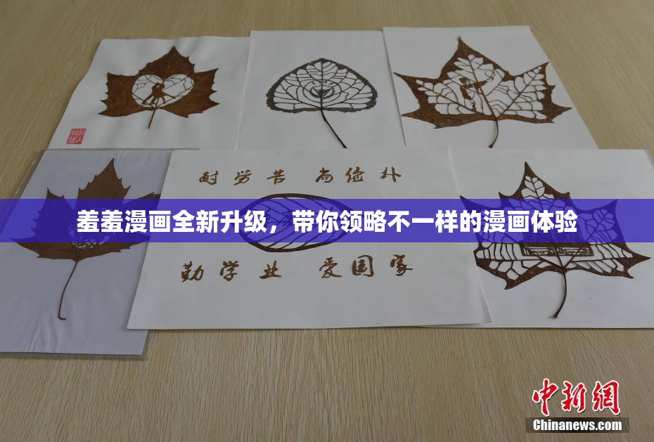 羞羞漫画全新升级，带你领略不一样的漫画体验