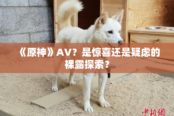 《原神》AV？是惊喜还是疑虑的裸露探索？