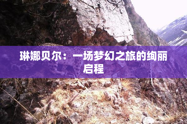 琳娜贝尔：一场梦幻之旅的绚丽启程