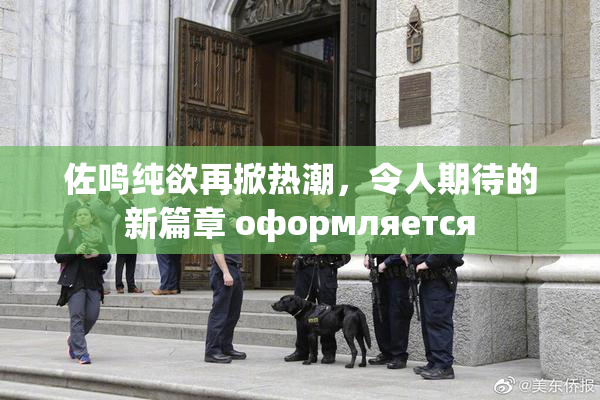 佐鸣纯欲再掀热潮，令人期待的新篇章 оформляется