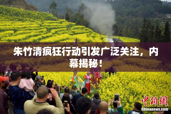 朱竹清疯狂行动引发广泛关注，内幕揭秘！