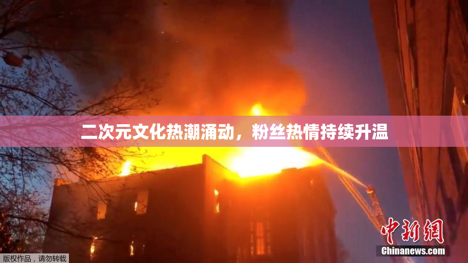 二次元文化热潮涌动，粉丝热情持续升温