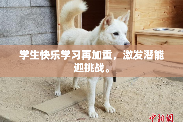 学生快乐学习再加重，激发潜能迎挑战。