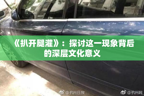 《扒开腿灌》：探讨这一现象背后的深层文化意义