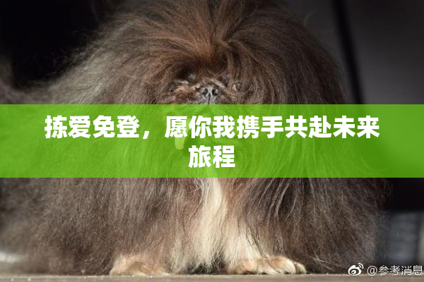 拣爱免登，愿你我携手共赴未来旅程