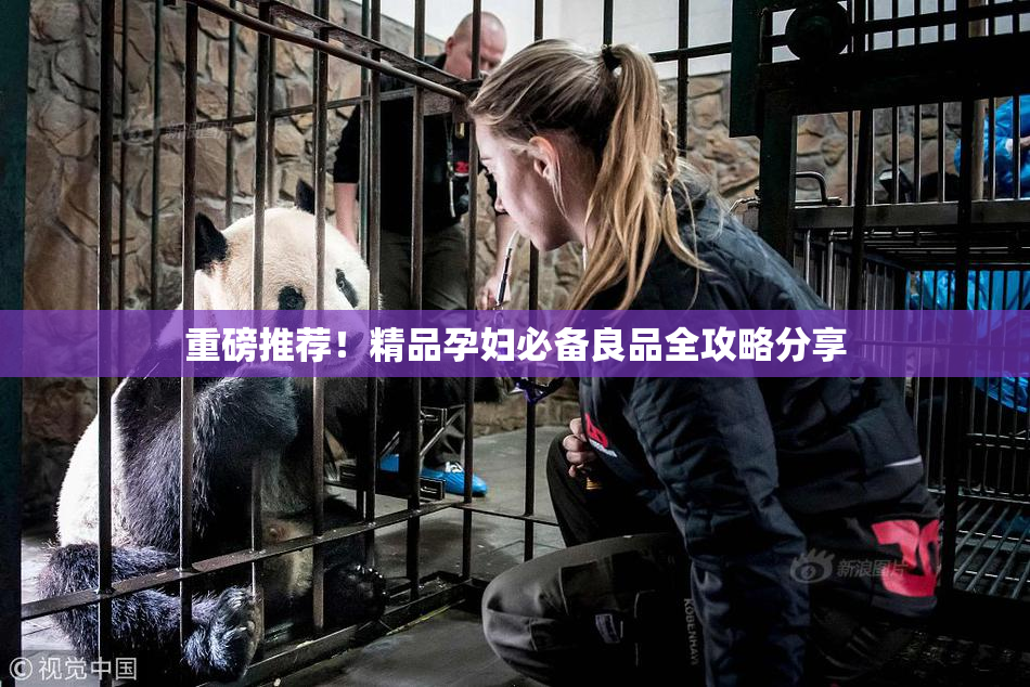 重磅推荐！精品孕妇必备良品全攻略分享