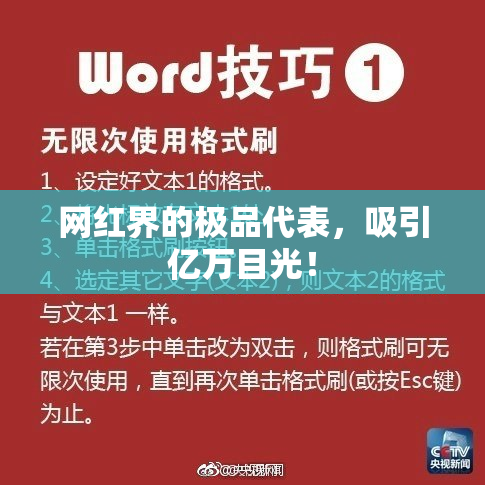 网红界的极品代表，吸引亿万目光！