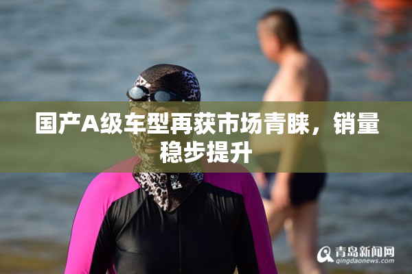 国产A级车型再获市场青睐，销量稳步提升