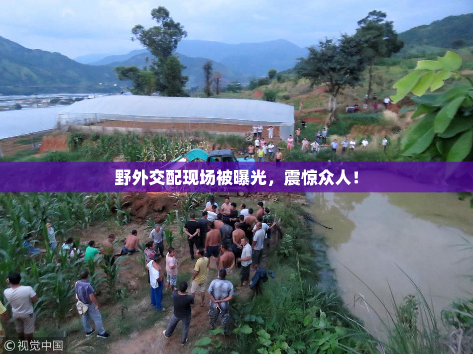 野外交配现场被曝光，震惊众人！