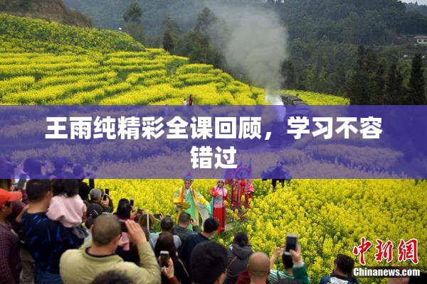 王雨纯精彩全课回顾，学习不容错过