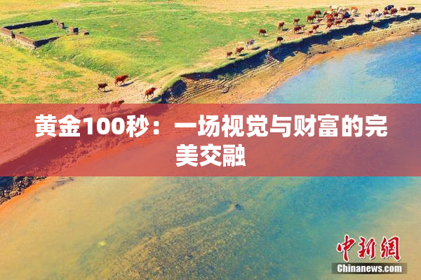 黄金100秒：一场视觉与财富的完美交融