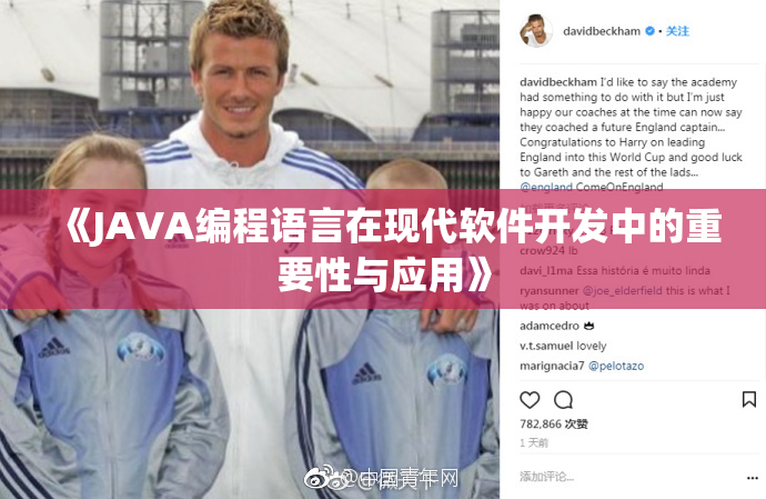 《JAVA编程语言在现代软件开发中的重要性与应用》