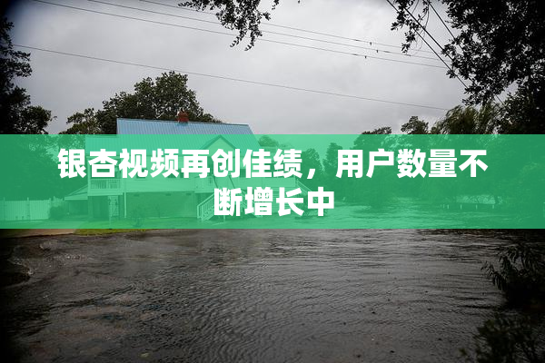 银杏视频再创佳绩，用户数量不断增长中