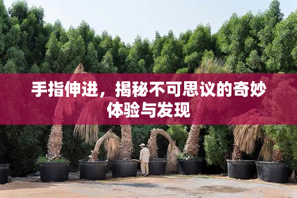 手指伸进，揭秘不可思议的奇妙体验与发现