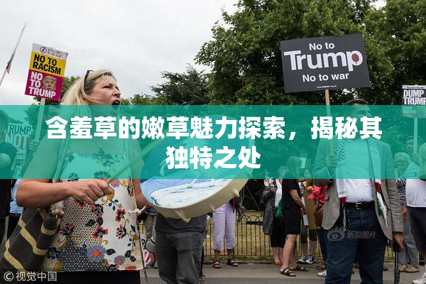 含羞草的嫩草魅力探索，揭秘其独特之处
