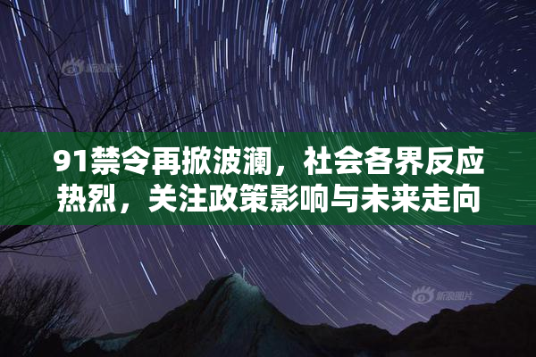 91禁令再掀波澜，社会各界反应热烈，关注政策影响与未来走向