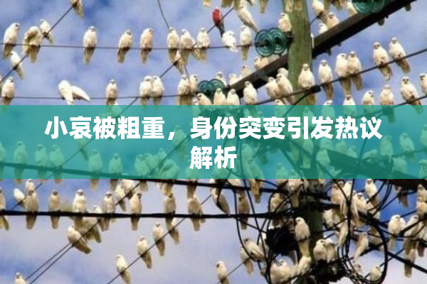 小哀被粗重，身份突变引发热议解析