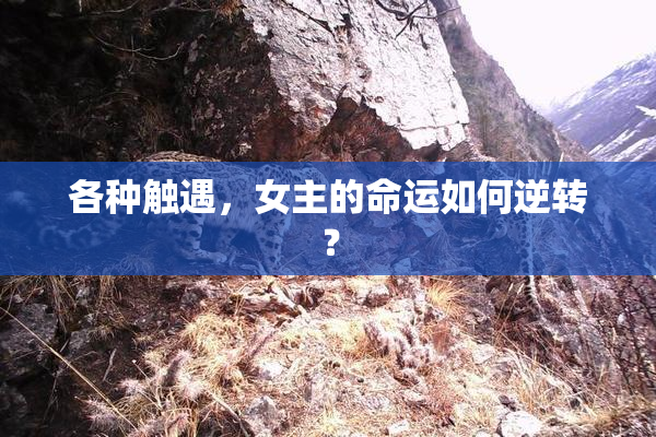 各种触遇，女主的命运如何逆转？
