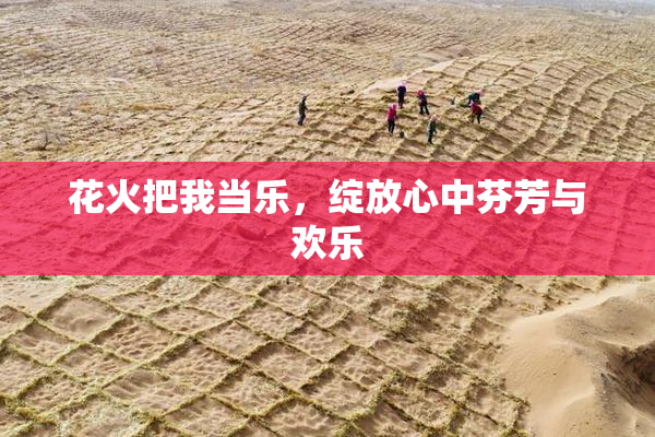 花火把我当乐，绽放心中芬芳与欢乐