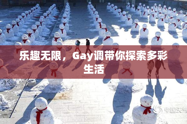 乐趣无限，Gay调带你探索多彩生活