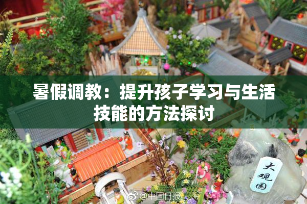 暑假调教：提升孩子学习与生活技能的方法探讨