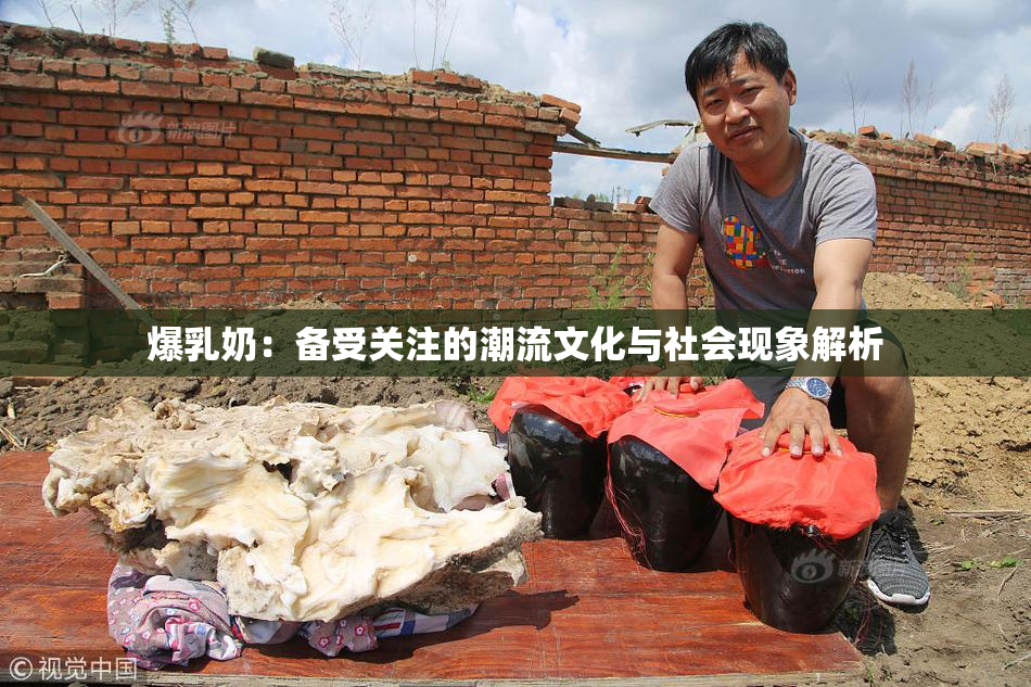 爆乳奶：备受关注的潮流文化与社会现象解析
