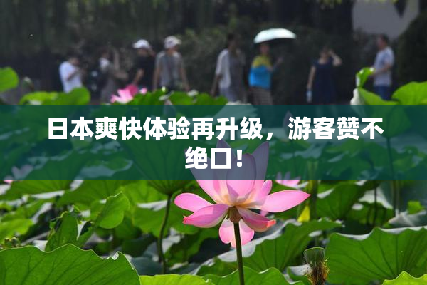 日本爽快体验再升级，游客赞不绝口！