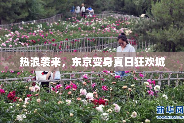 热浪袭来，东京变身夏日狂欢城